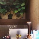 지에스25 원주관설중앙점 이미지