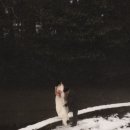 온마음을담다