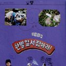 서귀포시청소년수련관 이미지