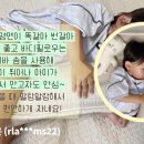 MS화이바 이미지