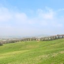 서산농장 이미지