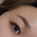 여주-0314 | 부산 부전동 속눈썹 연장 잘하는 곳, 우브래쉬 속눈썹 연장 및 브로우 리프트 펌 내돈내산 후기