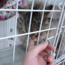 거산동물병원 이미지