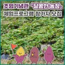 조엄농장 이미지