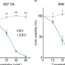 365소통한의원 이미지