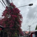 Day 10 ; 행복한 순간들