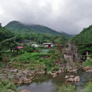 장미목장 이미지