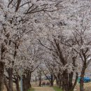 수원-1175 이미지