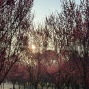 수달생태공원 화장실 이미지