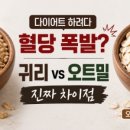 야콘 | “당뇨 전단계라 고구마 끊고 야콘 3주간 먹어본 리얼 후기 (+혈당 스파이크 안 튀는 진짜 이유)”