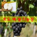 봉기농장 이미지