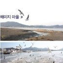 석모도해미지영농조합법인 Daum카페