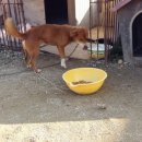 산돌사랑의 집 이미지