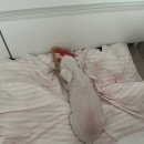 두암한방병원 이미지