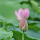 신평저수지 이미지