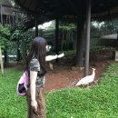 김주원과 함께하는 여름발레여행 | 버디 홈타운 방문! 자카르타에 가다 2