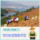 고사리협동조합 이미지