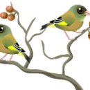 한국화(화조포함) 이미지