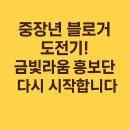 강서50플러스센터 | 금천50플러스센터 홍보단 지원 후기｜2025 금빛라움 활동으로 원고료도 받자!