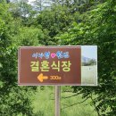 덕우목장 네이버블로그