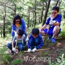 양양송이유통