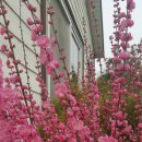 하기동경로당 이미지