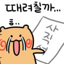 고기인스타 이미지