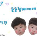 가장맛있는족발(포천점) 네이버블로그
