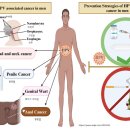 남성 암 예방하는 HPV 백신 이미지