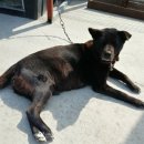 한가족의원 이미지