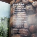 더연THEYEON