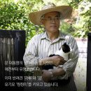 도그스토리 이미지