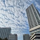 수내역(환승주차장) | [수내역 속눈썹펌 후기] 퀸디 부원장님 손끝에서 완성된 나만의 눈매 (수내속눈썹펌,분당속눈썹펌,수내...