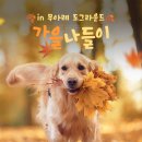 도그라운드 이미지