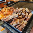 데일리멍 애견유치원, 애견호텔 이미지