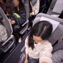 (유) 평화농장 | 아이슬란드&amp;튀르키예 여행기(1) 아이슬란드편🇮🇸