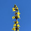 로얄 골프아카데미 | 경상남도 성산구 로얄골프아카데미, 위치, 리뷰, 후기