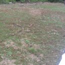 자라농장 이미지