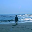 프로포즈 - 중랑구 봉화산로 59 | 프로포즈