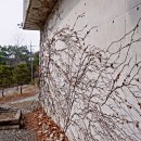 양양하다 이미지