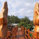 희망의 손 이미지