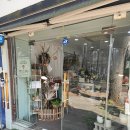 내돈내산) 분당 야탑 꽃집 &#39;수연꽃방&#39; 솔직 후기