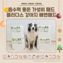 흡수력 좋은 가성비 배변패드 플리다스 반려견 합리적패드