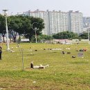 야외음악당 이미지