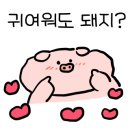 툴스돈카츠 이미지