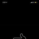 봉주르독 이미지