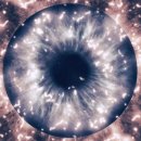 본안경원 이미지