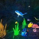 동굴속노래방 이미지