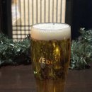 초석 | 천안 불당동 초석 오마카세 내돈내산 후기