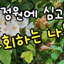 정원의 조성과 관리 이미지